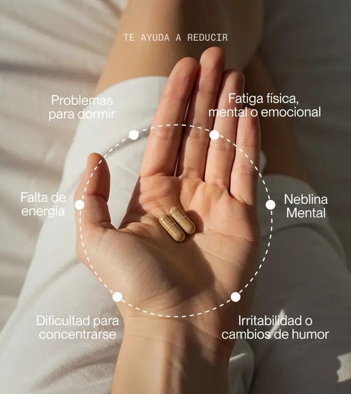 Superlativa Daily - Ashwagandha Sensoril – Suplemento Antiestrés Natural