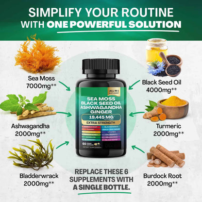 Supplement Sea Moss Shilajit Capsules